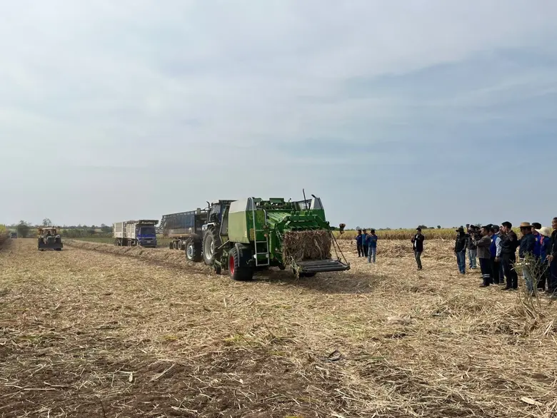 กรมส่งเสริมการเกษตร เดินหน้าสร้างเกษตรปลอดเผายั่งยืน สู้ PM2.5