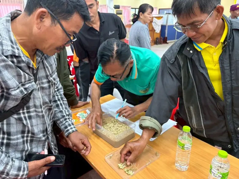 เพชรบูรณ์เดินหน้ายกระดับเกษตรกร พัฒนาผู้ผลิตเมล็ดพันธุ์ถั่วเขียวมาตรฐาน หวังสร้างรายได้ชุมชนยั่งยืน