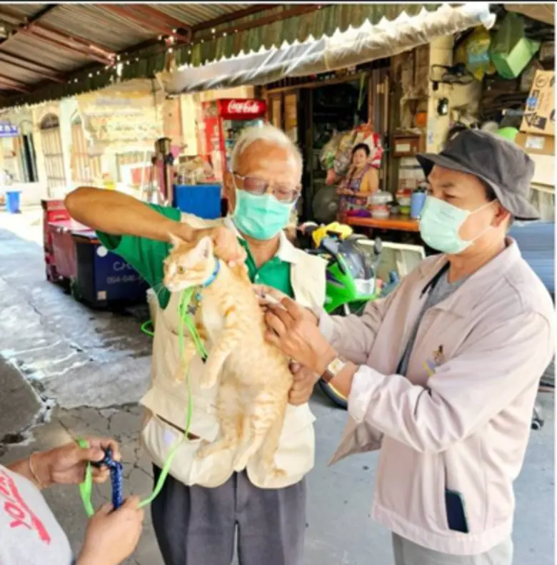 กทม. เดินหน้าแก้ปัญหาสุนัข-แมวจรจัดชุมชนนางเลิ้ง เร่งทำหมัน-ฉีดวัคซีน-จดทะเบียนสัตว์เลี้ยง