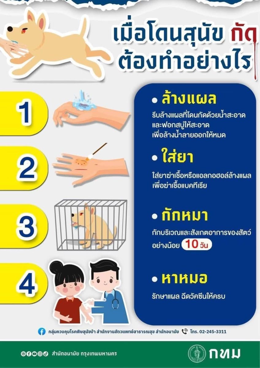 กทม. รุกเข้มควบคุมโรคพิษสุนัขบ้าในเขตลาดกระบัง ออกหน่วยเคลื่อนที่ฉีดวัคซีนป้องกันในรัศมี 1-5 กม.