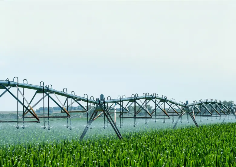 Kyndryl and Microsoft Report: 82% of Thai Organizations Show Strong IT-Sustainability Alignment, as AI Emerges as the Next Lever to Unlock Greener Growth