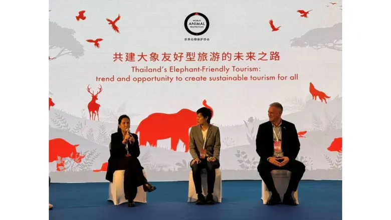 องค์กรพิทักษ์สัตว์แห่งโลกระบุไทยพร้อมขึ้นแท่นศูนย์กลาง Elephant-Friendly Tourismรองรับกระแสนักท่องเที่ยวจีนที่ใส่ใจสวัสดิภาพสัตว์และการท่องเที่ยวเชิงจริยธรรมเพิ่มขึ้น