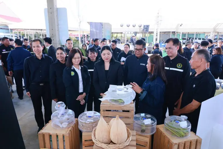 กรมส่งเสริมการเกษตร หนุนปลูกมะพร้าวสุขภาพดี ด้วยการจัดการศัตรูพืชแบบผสมผสาน (IPM)