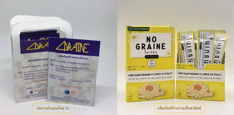วว. จับมือ "แสงสว่างตราค้างคาว" เปิดตัวนวัตกรรม "NO GRAINE" สารสกัดเก๊กฮวยบรรเทาไมเกรน