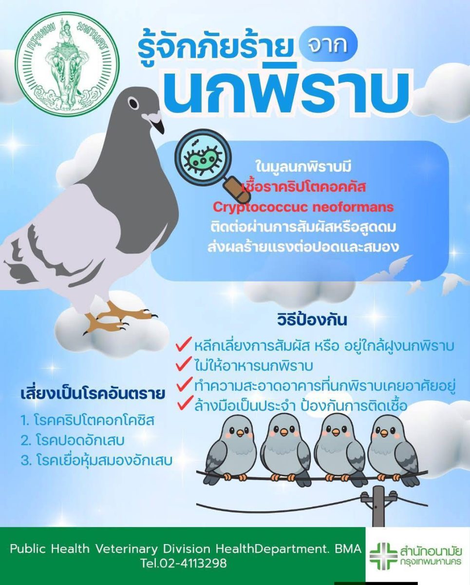 กทม. ขอความร่วมมืองดให้อาหารนกในพื้นที่สาธารณะ ชี้เสี่ยง "โรคปอดอักเสบ" เร่งสำรวจข้อมูล-จัดหน่วยสัตวแพทย์เคลื่อนที่เฝ้าระวังโรคเชิงรุก