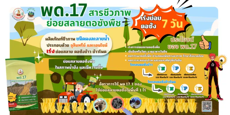 กรมพัฒนาที่ดิน ชวนเกษตรกรร่วม "ไถกลบตอซัง สร้างดินยั่งยืน ฟื้นสิ่งแวดล้อม" ดีเดย์ 23 ม.ค. นี้!