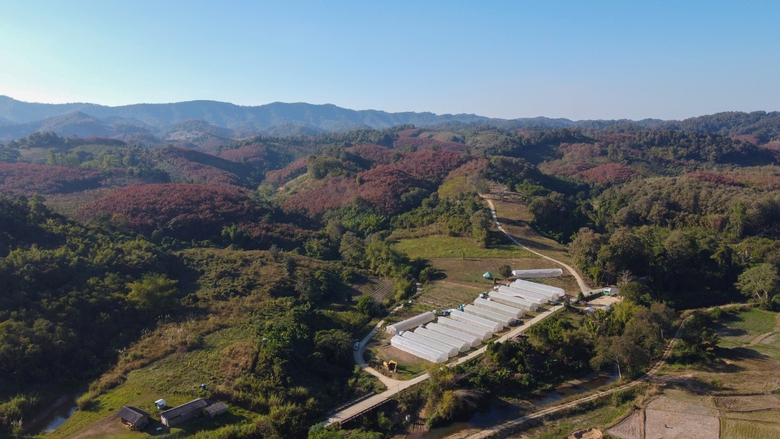 "แม่จริมโมเดล" จากการฟื้นฟูชุมชน สู่ต้นแบบการพัฒนาพื้นที่สูงที่ขยายผลได้จริง