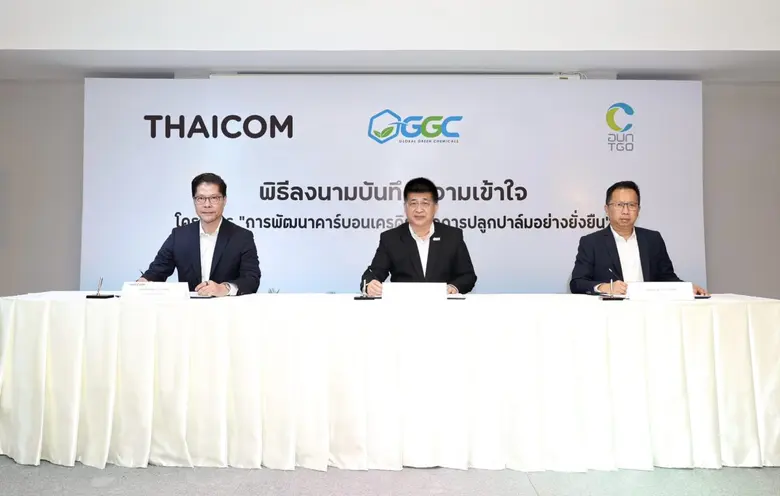 GGC -THAICOM และ TGO ลงนามบันทึกความร่วมมือ การพัฒนาคาร์บอนเครดิตจากการปลูกปาล์มอย่างยั่งยืน