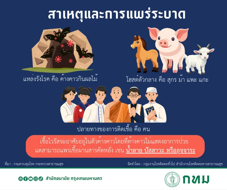 กทม. เตรียมพร้อมมาตรการเฝ้าระวังและป้องกันการแพร่ระบาด "โรคติดเชื้อไวรัสนิปาห์"