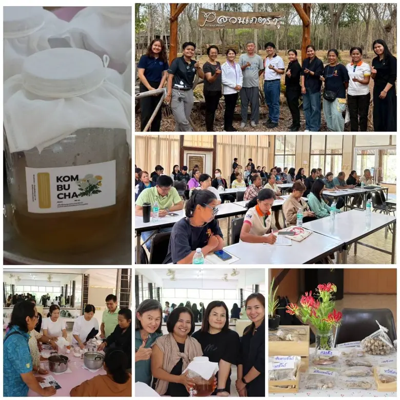 วว. ถ่ายทอดองค์ความรู้เชิงปฏิบัติการ "แปรรูปผลิตภัณฑ์จากดอกไม้กินได้ /การปลูกเลี้ยงปทุมมา" ขับเคลื่อนการเพิ่มศักยภาพการผลิตปลูกเลี้ยงไม้ดอกไม้ประดับในภูมิภาคต่าง ๆ ของประเทศไทย