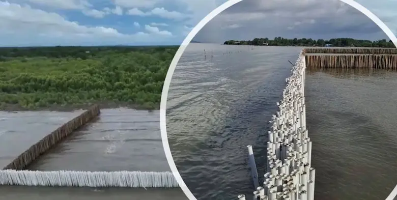 สวทช. - ทช. ผนึกกำลัง ใช้ประโยชน์จากวิทยาศาสตร์และเทคโนโลยี บริหารจัดการ-ฟื้นฟูทรัพยากรชายฝั่งประเทศไทย รับการเปลี่ยนแปลงสภาพภูมิอากาศ