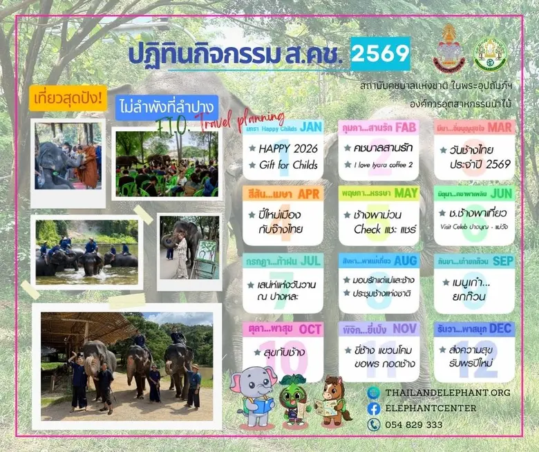 "อ.อ.ป." เปิดลิสต์กิจกรรม ปี 69 สัมผัสความน่ารัก "ช้างไทยแบบ Exclusive ตลอดปี"