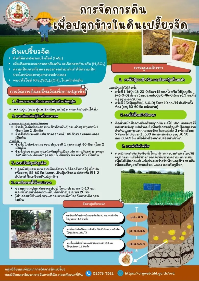 เปลี่ยน "ดินปัญหา" ให้เป็นดินสร้างผลผลิต เพิ่มศักยภาพพื้นที่เกษตร สู่ความยั่งยืนอย่างแท้จริง