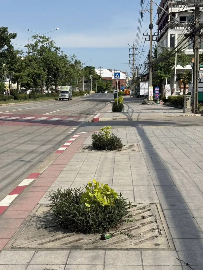 เขตบางบอนเร่งปลูกซ่อมไม้ยืนต้น เสริมความสมบูรณ์พื้นที่สีเขียว ดูแลต่อเนื่องตามแผนปรับปรุงภูมิทัศน์