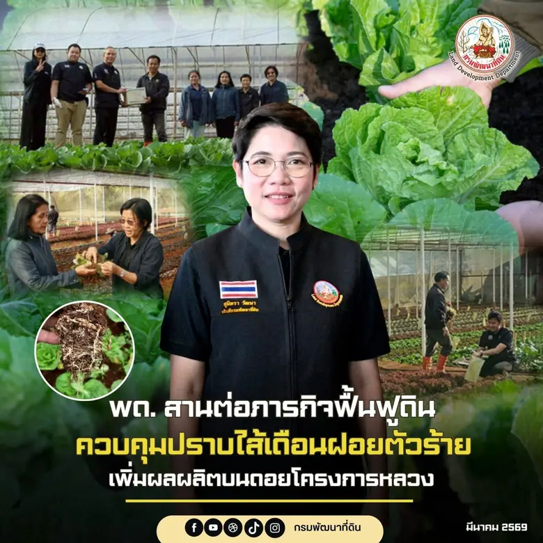 พด. สานต่อภารกิจฟื้นฟูดิน ควบคุมปราบไส้เดือนฝอยตัวร้าย เพิ่มผลผลิตบนดอยโครงการหลวง