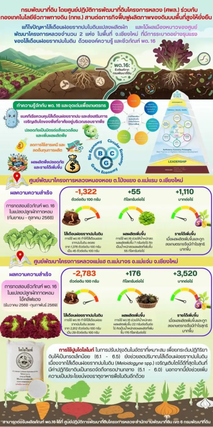 พด. สานต่อภารกิจฟื้นฟูดิน ควบคุมปราบไส้เดือนฝอยตัวร้าย เพิ่มผลผลิตบนดอยโครงการหลวง