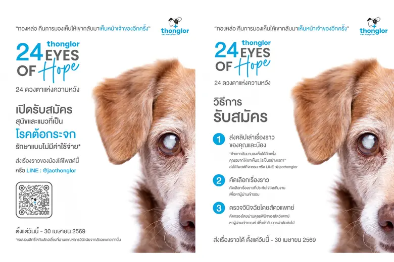 รพ.สัตว์ทองหล่อ เปิดตัวแคมเปญ "24 EYES OF HOPE" มอบแสงสว่างรักษาสัตว์ป่วยต้อกระจก คืนโมเมนต์ "การได้กลับมาเห็นหน้าเจ้าของอีกครั้ง"