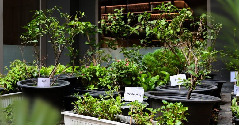 Madi Paidi Bangkok Redefines the Meaning of a Sustainable City Stay