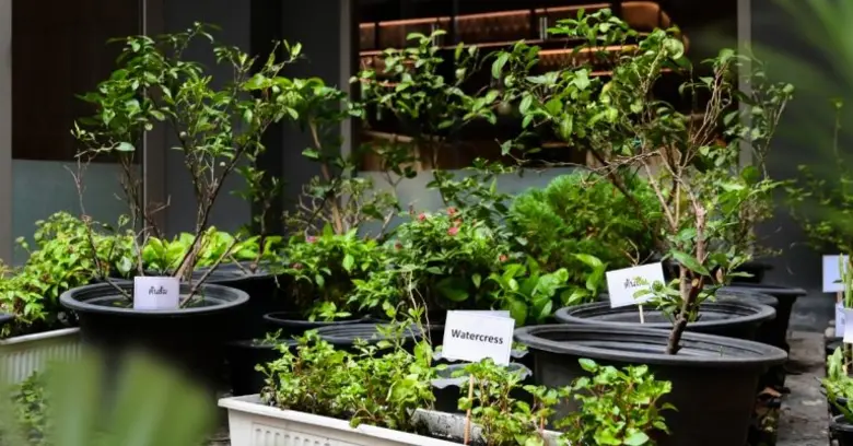 โรงแรม มาดี ไปดี กรุงเทพ ออโตกราฟ คอลเล็คชั่น ยกระดับการบริการด้วยแนวคิดความยั่งยืนอย่างมีความหมาย