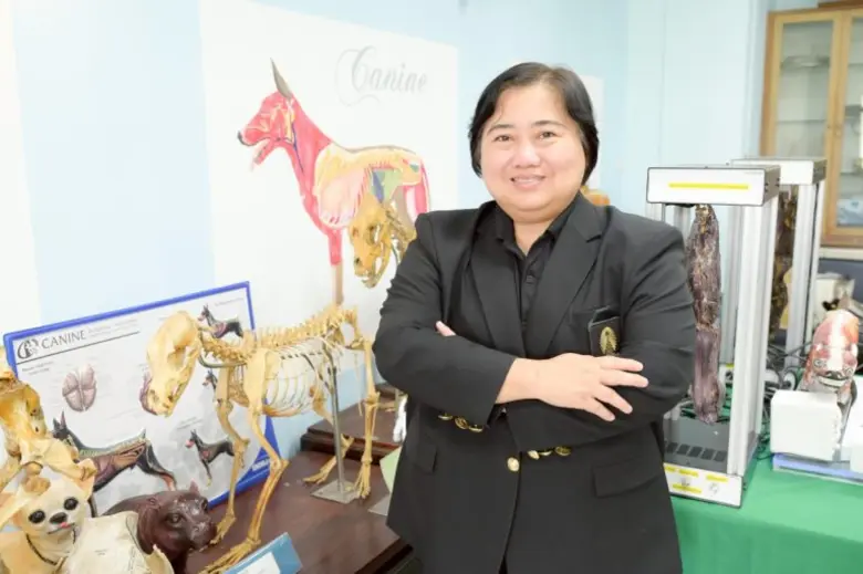 "หุ่นกายวิภาคของกล้ามเนื้อสุนัขแบบโต้ตอบได้" นวัตกรรมล่าสุดจากคณะสัตวแพทย์ จุฬาฯ คว้ารางวัลระดับโลก