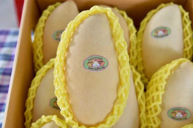 ชูของดี GI อีสาน "มะม่วงน้ำดอกไม้สีทองบ้านแฮดขอนแก่น" ร่วมเสิร์ฟความหวานในงานแต่ง 'ณเดชน์-ญาญ่า' สะท้อนศักยภาพวัตถุดิบ GI สู่เมนูร่วมสมัยได้อย่างลงตัว