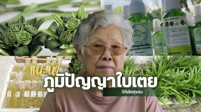 ชุมชนเลิศสุขสมรวมพลัง แปรรูป "ใบเตย" สร้างผลิตภัณฑ์หลากหลาย เพิ่มรายได้-หนุนเศรษฐกิจฐานราก