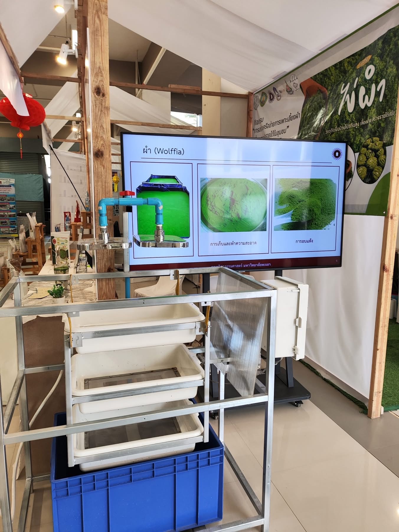 UP Advances Smart Algae Farming Innovation to Drive Future Food and BCG Economy