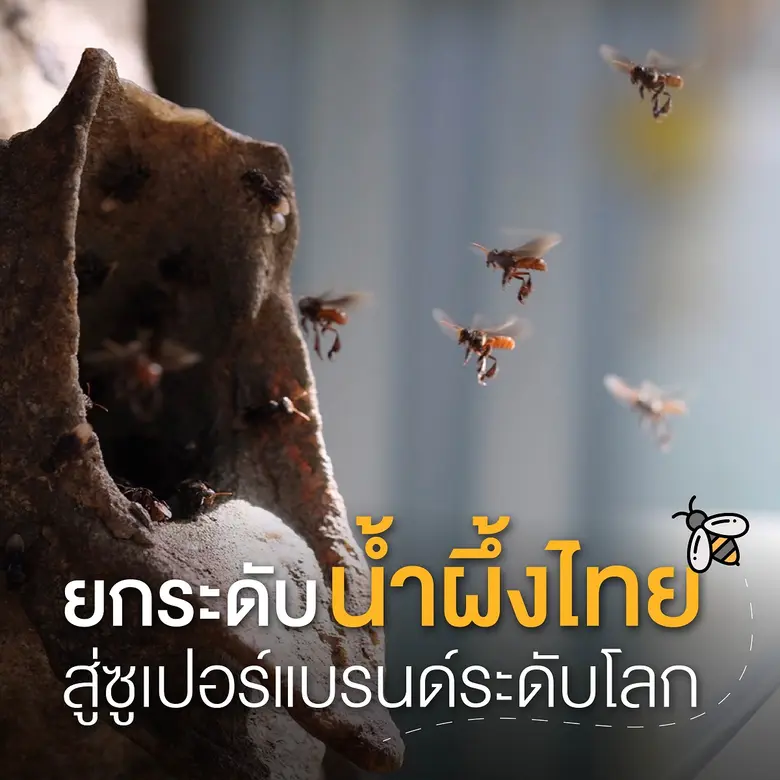 ยกระดับน้ำผึ้งไทยสู่ซูเปอร์แบรนด์ระดับโลก