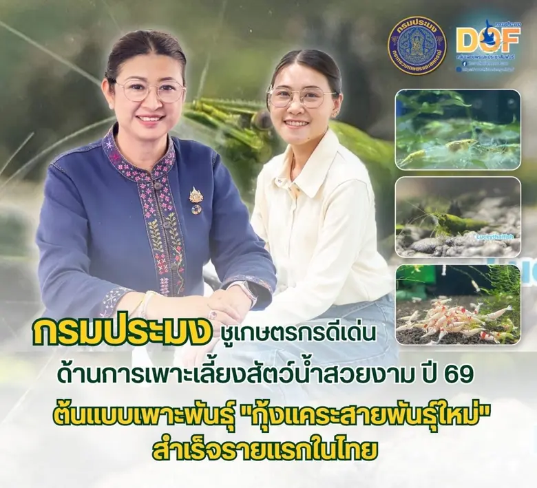 กรมประมงเชิดชูเกียรติ "นางสาวภัทรนิษฐ์ ศิระวัฒนารุจน์" เกษตรกรดีเด่นด้านการเพาะเลี้ยงสัตว์น้ำสวยงาม ปี 69 ต้นแบบเพาะพันธุ์ "กุ้งแคระสายพันธุ์ใหม่" สำเร็จรายแรกในไทย