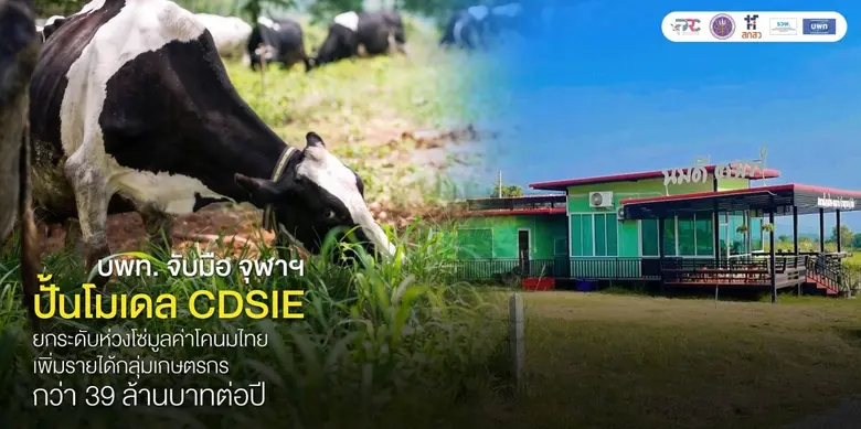 บพท. จับมือจุฬาฯ ปั้นโมเดล CDSIE ยกระดับห่วงโซ่มูลค่าโคนมไทย เพิ่มรายได้กลุ่มเกษตรกกว่า 39 ล้านบาทต่อปี