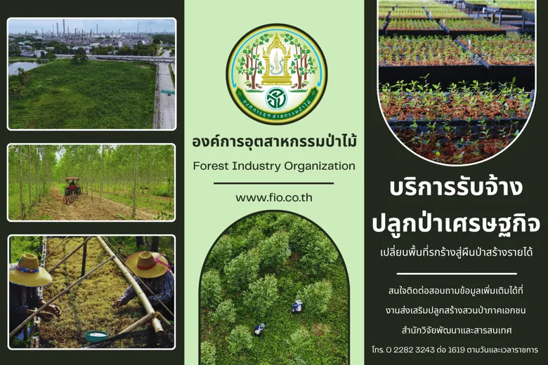 อ.อ.ป. พลิกที่ดินรกร้างสู่ "สินทรัพย์สีเขียว" เปิดธุรกิจรับจ้างปลูกป่าครบวงจร ลดความเสี่ยงสร้างมูลค่าระยะยาว