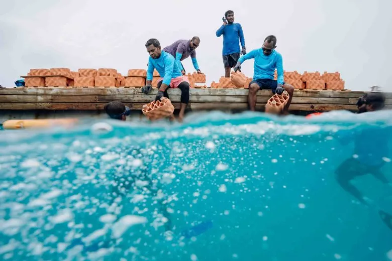 Anantara Dhigu Maldives Resort Partners with rrreefs on an Innovative 3D-Printed Clay Reef Restoration Project