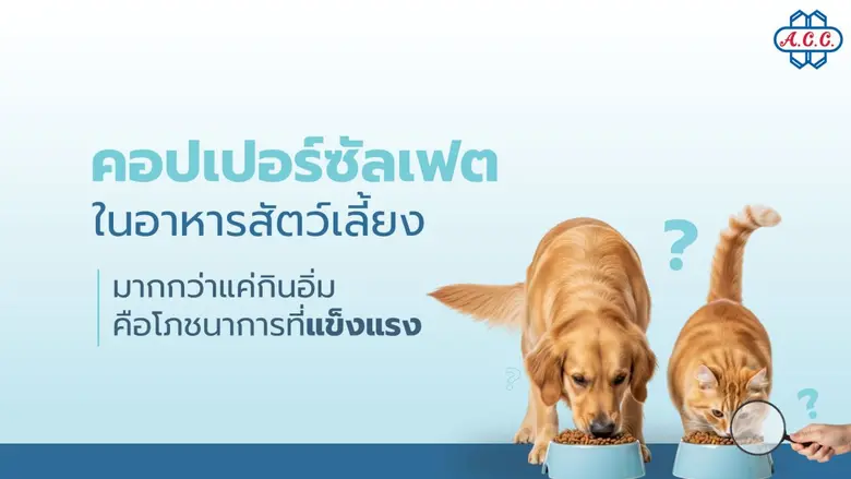 คอปเปอร์ซัลเฟตในอาหารสัตว์เลี้ยง แร่ธาตุสำคัญที่ผู้เชี่ยวชาญยืนยัน เพื่อสุขภาพที่ดีของสุนัขและแมว