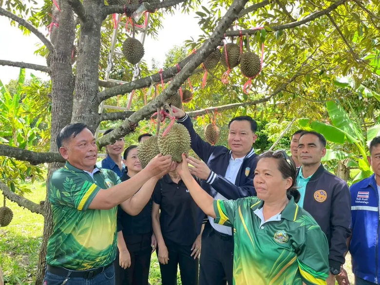 "บุกสวน ชวนฟิน กินทุเรียนนาป่า" คึกคัก! เกษตรเมืองเพชรบูรณ์เดินหน้าหนุนท่องเที่ยวเชิงเกษตร ดันทุเรียนท้องถิ่นสู่แหล่งท่องเที่ยวคุณภาพ