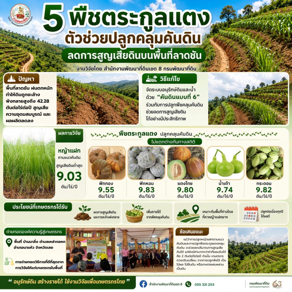 กรมพัฒนาที่ดิน ชวนปลูก 5 พืชตระกูลแตง ช่วยคลุมคันดิน ลดดินพังทลาย