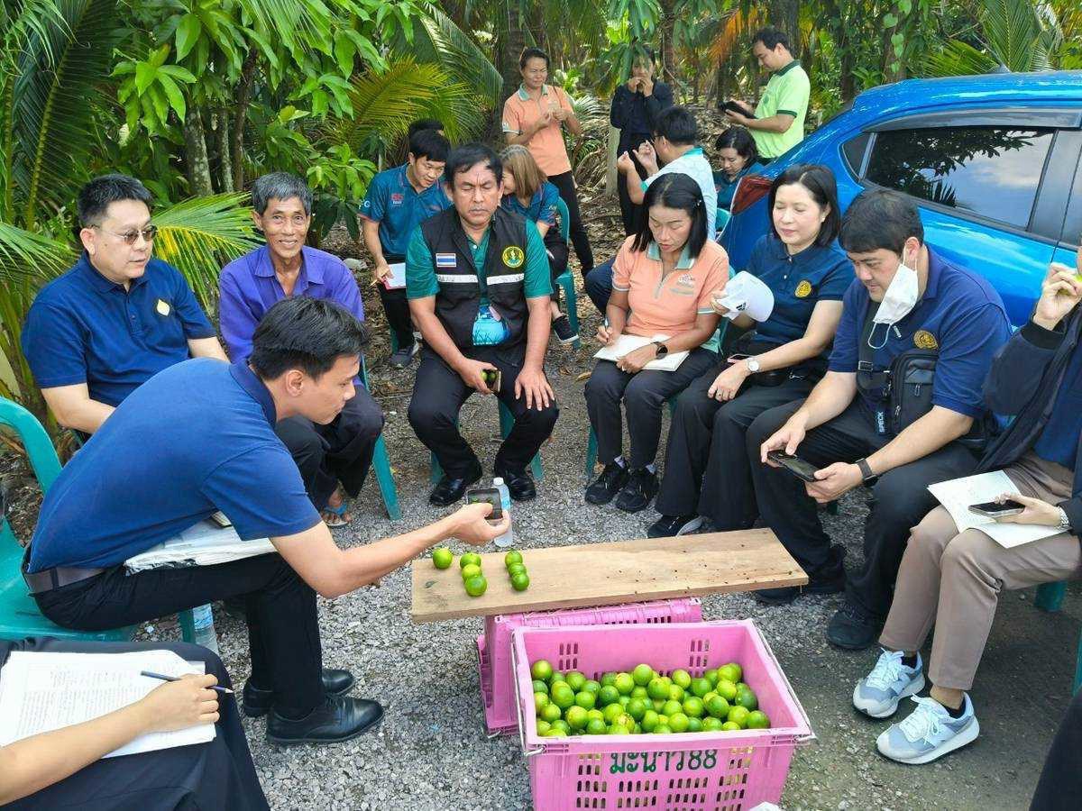 กรมทรัพย์สินทางปัญญา ยกระดับของดีราชบุรี ขึ้นทะเบียน "มะนาวแป้นดำเนินสะดวก" และ "มะม่วงน้ำดอกไม้ราชบุรี" เป็น GI น้องใหม่ เดินหน้าเพิ่มมูลค่าเกษตรอัตลักษณ์ ขับเคลื่อนเศรษฐกิจชุมชน