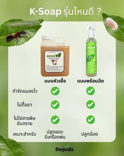 Repids: Turning Used Cooking Oil into Organic Insecticide - A Community Innovation from Chulalongkorn University