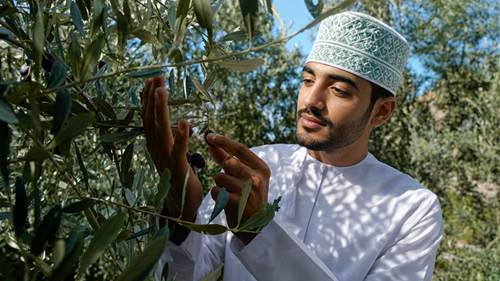 Anantara Al Jabal Al Akhdar Celebrates Oman's Olive Heritage with Fifth Annual Harvest Festival