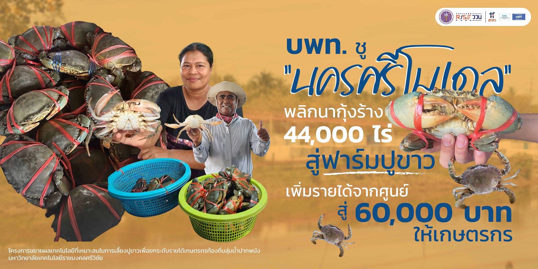 บพท. ชู "นครศรีโมเดล" พลิกนากุ้งร้าง 44,000 ไร่ สู่ฟาร์มปูขาว เพิ่มรายได้จากศูนย์ สู่ 60,000 บาทให้เกษตรกร
