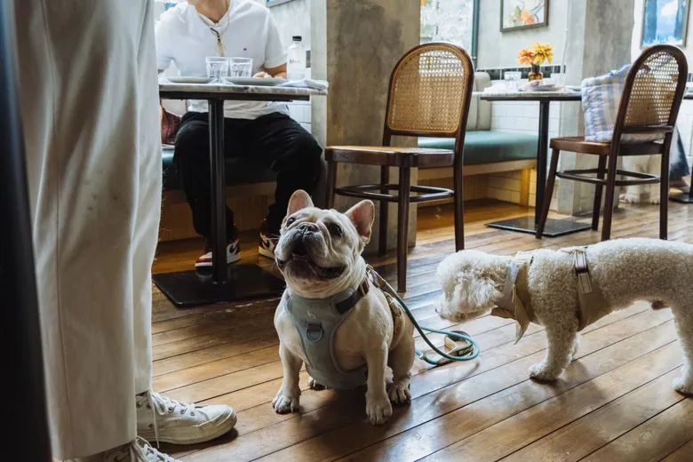 LA PLANTE (ลาพล็อง) ชวนสัมผัส The Classic French Flavor พร้อมพื้นที่ Pet-Friendly ภายใต้คอนเซ็ปต์ "Made to Be Shared"