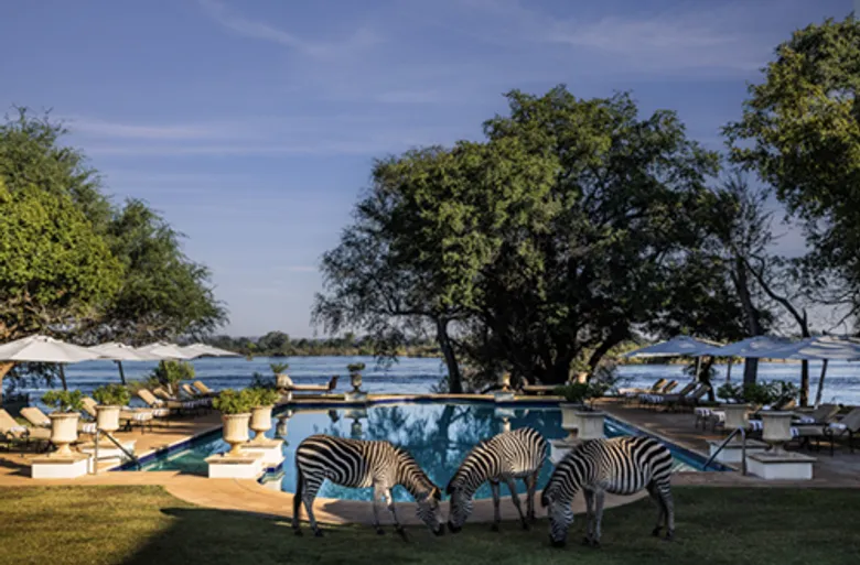 Minor Hotels Celebrates 30 Wins and Top Regional Rankings in the CNT Readers' Choice Awards