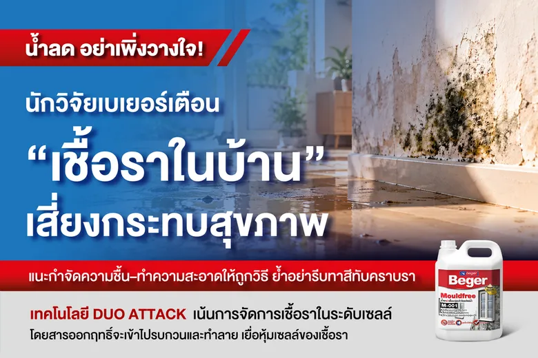 น้ำลด อย่าเพิ่งวางใจ! นักวิจัยเบเยอร์เตือน "เชื้อราในบ้าน" เสี่ยงกระทบสุขภาพแนะกำจัดความชื้น-ทำความสะอาดให้ถูกวิธี