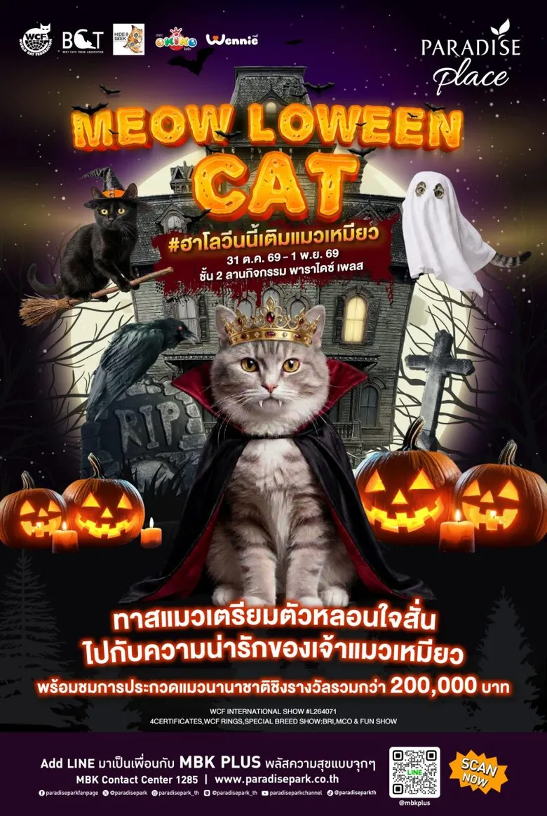 ทาสแมวห้ามพลาด! พาราไดซ์ เพลส เสิร์ฟความฟินรับฮาโลวีน จัดประกวดแมวนานาชาติ "MEOW LOWEEN CAT"