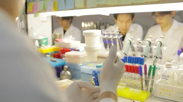 The Jumbophage Cocktail_Fighting Superbugs and Shrimp Disease