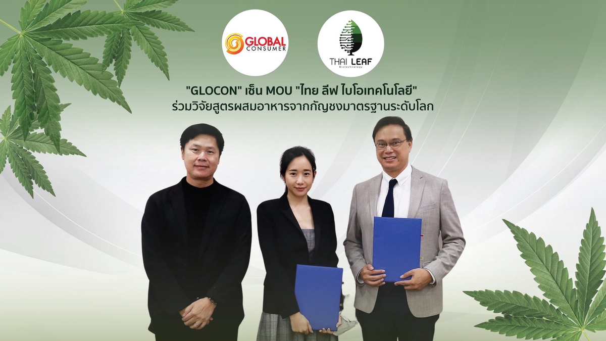 GLOCON ผนึก THAI LEAF ร่วมวิจัยอาหารผสมกัญชงมาตรฐานระดับโลก