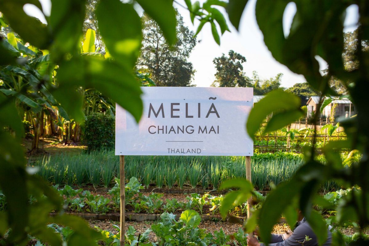 New Urban Hotel Opens Organic Farm With Michelin-Starred Chef Turned Sustainable Farmer