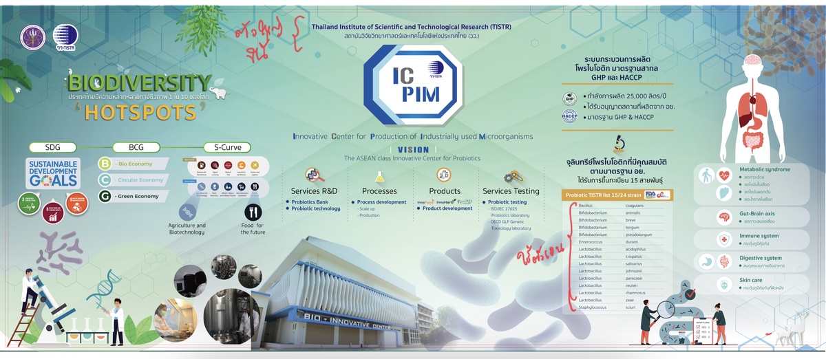 วว. จับมือ อินโนบิก (เอเซีย) ขับเคลื่อนนโยบาย BCG พัฒนาผลิตภัณฑ์เสริมอาหารจากจุลินทรีย์สายพันธุ์ไทย นำร่องชูประสิทธิภาพช่วยปรับสมดุลทางเดินอาหาร ไขมันพอกตับ กระตุ้นภูมิคุ้มกันร่างกาย ช่วยการทำงานของระบบสมอง