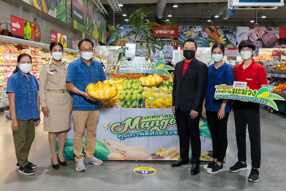 แม็คโคร จุดพลุ เทศกาลมะม่วง ช่วยเหลือเกษตรกรทั่วไทย รับซื้อผลผลิตสดจากสวน 3,500 ตัน เพิ่มดีกรีกระตุ้นบริโภค รับดีมานด์ร้านอาหาร