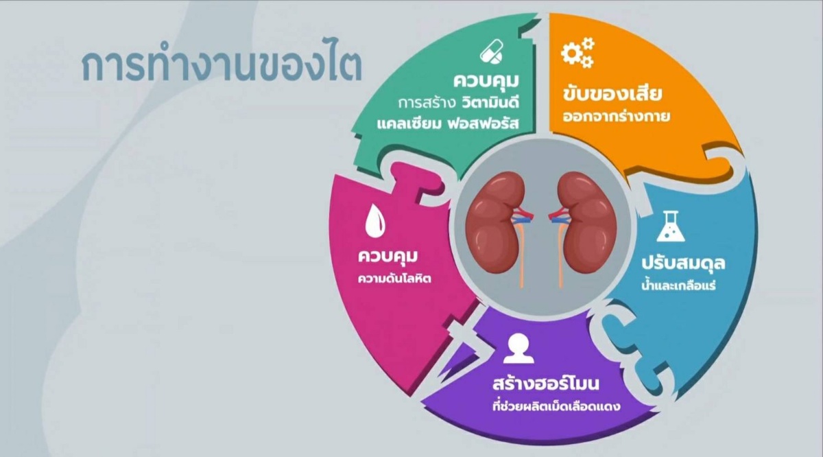 สมาคมเพื่อนโรคไตแห่งประเทศไทย ชวนชมเรื่องจริงจากผู้ป่วย โรคไตเรื้อรัง . รู้ไว้ รักษาเร็ว