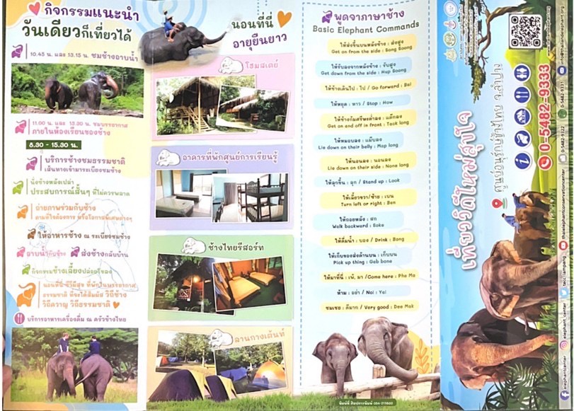 วธ.ร่วมอนุรักษ์ภูมิปัญญาช้างไทย ส่งเสริมศูนย์อนุรักษ์ช้างไทย ลำปางเป็นแหล่งเรียนรู้ทางวัฒนธรรม-ท่องเที่ยววิถีชีวิตช้าง คนเลี้ยงช้าง ยกระดับประเพณีงานบวชหลังช้างจากท้องถิ่น สู่ระดับประเทศ และนานาชาติ